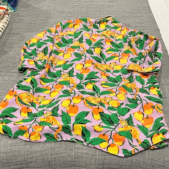 Printfresh Orange Cat Print Plus Size Nightshirt - Picture 6 of 6